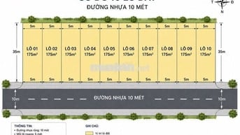 Chào các anh chị mẹ em người Phú Yên kinh doanh tôm bị thua lỗ quá