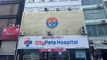 Bán nhà mặt tiền kinh doanh Huỳnh Văn Bánh, Phường 11, Quận Phú Nhuận