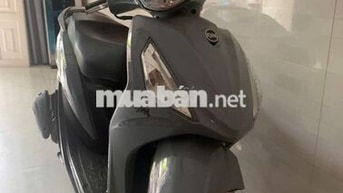 SYM Shark 50 2023 Xám