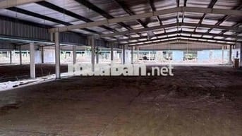 cho thuê nguyên cụm kho 2 MT view sông. phú thuận Q7