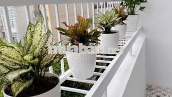 BÁN CHUNG CƯ NGÔ TẤT TỐ, DT 56M2 1PN 1WC NHÀ ĐẸP Ở NGAY