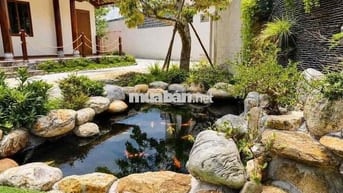🏡 CHO THUÊ NHÀ SÂN VƯỜN (GARDEN HOUSE) – TRUNG TÂM NGŨ HÀNH SƠN