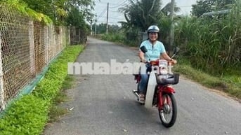 Honda  Cub 86 Xanh trắng