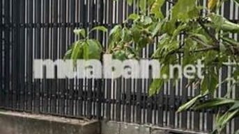 CHO THUÊ NHÀ NGUYÊN CĂN – MẶT TIỀN ĐƯỜNG SỐ TÂN QUY, QUẬN 7