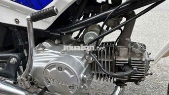 Detech Espero ERF Trắng 2022