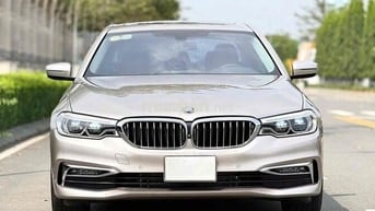 BMW 530i Luxury Line 2019 - xe nguyên bản 100%