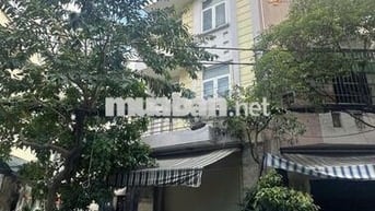 Cho Thuê Nhà Đường Cộng Hòa, Tân Bình ( Ngang 5m - Nhà Rộng )
