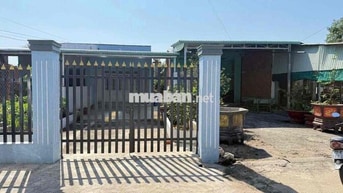 Nhà cách QL22 đúng 30m 5,3x66 nở hậu Gần Chợ Khu Công Nghiệp