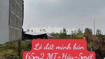đân phân lô đấu giá cự khối cạnh hồ 31ha đang hoàn thiện