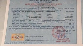 THẤT LẠC ĐĂNG KIỂM XE MÁY ĐIỆN