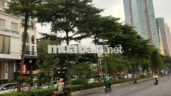 Cho thuê 02 Cửa Hàng, VP, Phố Quán Thánh và Đào Tấn gần TTTM LOTTE