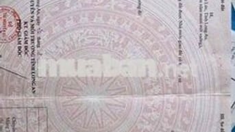 càn bán 500m2 thổ cư ấp 4 thạnh đức mặt tiền nhựa công vụ 8m