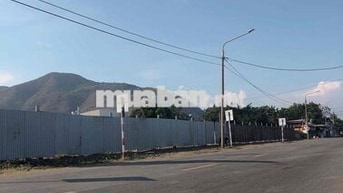 Lô đất Víp Tân Hưng xây showroom cho thuê thì hết nước chấm