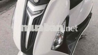 Grande 2018 siêu phẩm zin 100%bs 60 co góp