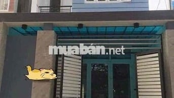 Cho Thuê Nhà Hẻm Trần Đình trọng Phường Phú Thọ