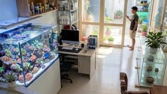 🔥 NHÀ MẶT TIỀN HUỲNH BÁ CHÁNH - BÌNH CHÁNH | ĐƯỜNG VÀO CỔNG CĂN HỘ🔥