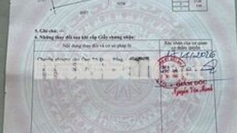 Lô kế góc Nguyễn Huệ, Trịnh Tố Tâm