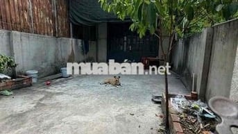 Bán gấp Nhà C4 100m2 ngay LK4-5 giáp QL1A chỉ nhỉnh 1 tỷ.