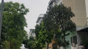 Đất phân lô Việt Hưng, Long Biên 75m², vỉa hè, ô tô tránh