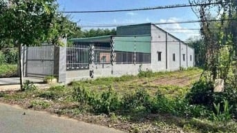 Diện tích 300m2, 2 mặt tiền đường nhựa