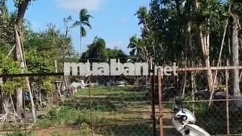 chủ cần bán lô đất 5800m2 hóc môn 