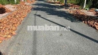 NỀN KDC PHƯỜNG LONG CHÂU (p9) giá tốt