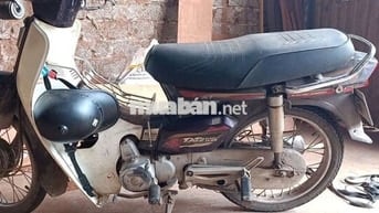 Honda Super Dream Trắng đen