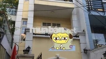 NHÀ MT 4.2X20M 3 TẤM 3PN GIÁ TỐT