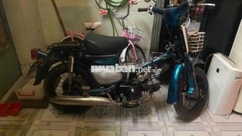 Honda Cub 50 1981 Xanh