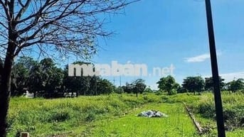 ĐANG ÁP LỰC NỢ NGÂN HÀNG NÊN BÁN GẤP TÂN PHÚ TRUNG – CỦ CHI