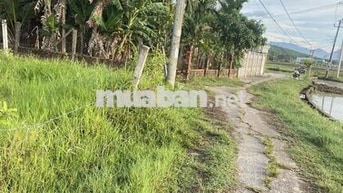 Tôi chính chủ bán có hồ sơ quy chủ