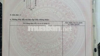 BỎ PHỐ CHỌN ĐẤT RỘNG – XU HƯỚNG SỐNG ĐƯỢC NHIỀU NGƯỜI TP.HCM LỰA CHỌN