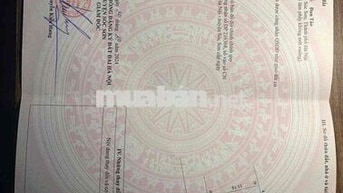 Chính Chủ Cần Tiền Bán Mảnh Đất Lô Góc, Đường Oto 7Chỗ Ngõ Thông