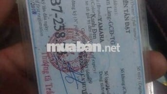 Đang tiêm  7 triệu 500 bán nhanh 10 triêu