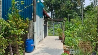 Bán 1133m2 đất nông nghiệp ngay Ngã Tư Ga Quận 12 giá 18,5 tỷ