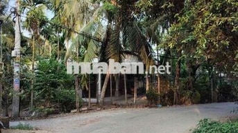 chủ gửi lô đất sổ riêng(dt 8.8x14) nhị bình