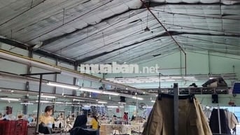 Cho thuê kho xưởng đường Vĩnh Lộc, khu vực Hóc Môn – Bình Chánh