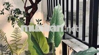 🏡 CHO THUÊ NHÀ 2 TẦNG MỚI TINH KHU BIỂN PHẠM VẤN