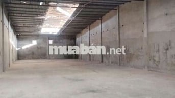 Kho Xưởng Cho Thuê Mặt tiền Nguyễn Thị Thử,gần cá koi.Hóc Môn