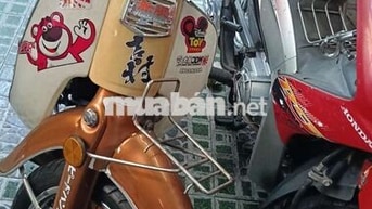 Cub nhật dk 1991 bstp