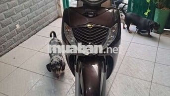 Sh 150i Nhập Ý 2008 Xe Zin Máy Chất
