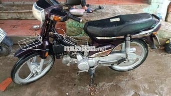 Dream trung quốc  110 Tím Đã sử dụng