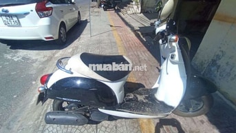 Honda Scoopy 50