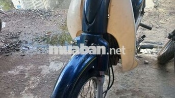 Honda Cub 50cc Xanh, Trắng