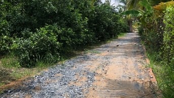 Bán Đất Long Hưng, Châu Thành, Tiền Giang. 4,55mx27,10m= 124m, Đ 2,7m 