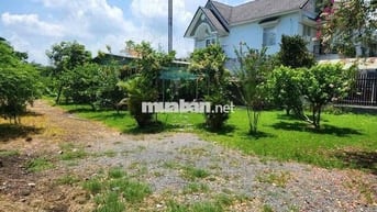 Cho Thuê Nhà Vườn 1200m2 Thủ Dầu Một