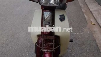 Hado Siva 100 1998 Đỏ mận citt thùng 