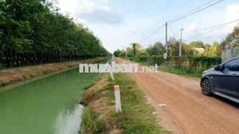 nhà và vườn sầu riêng 95x170m đường kênh TN 02