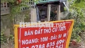 ĐẤT MẶT TIỀN 100% THỔ CƯ - 2 SỔ RIÊNG (10x50m) CHÍNH CHỦ XÃ QUỐC THÁI