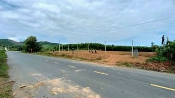 ĐẤT THỔ CƯ  MẶT TIỀN ĐƯỜNG NHỰA 80M² 